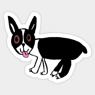 8 year old Jack: Boston Terrier Sticker